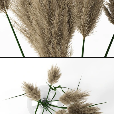 Grass in round vase — Вид 2