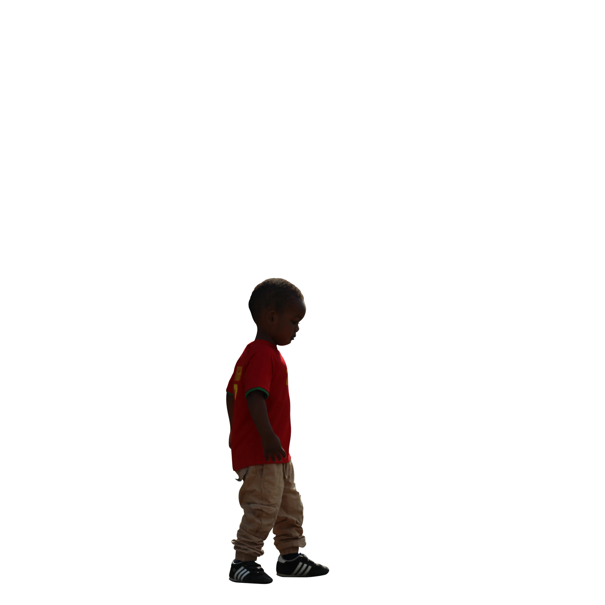 2459 — Скачать