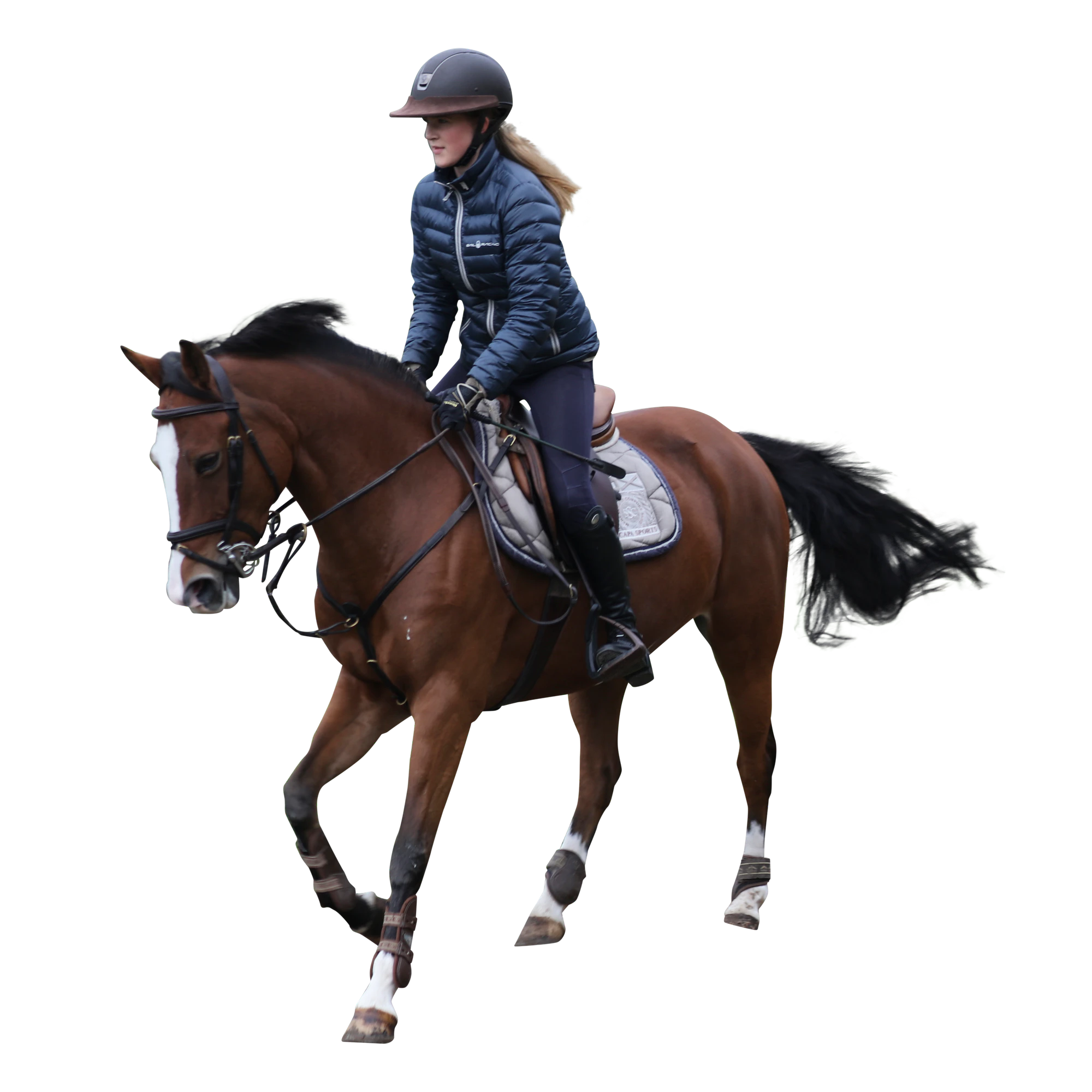 036 — Скачать