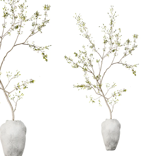 Indoor Plant 01 — Descargar