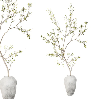 Indoor Plant 01 — Ver 2