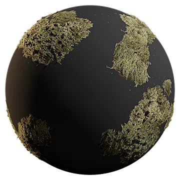 grey moss 001 — Скачать