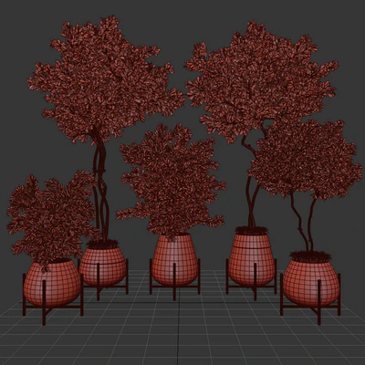 indoor plant set 01 — Вид 2