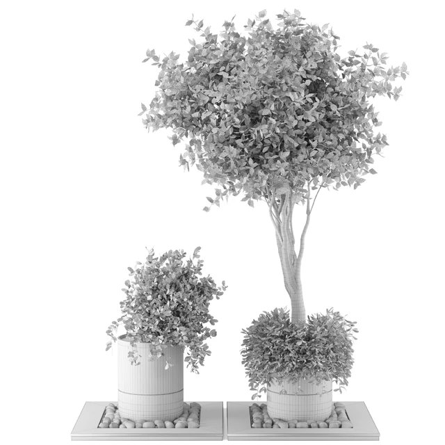 Outdoor Plants bush & Tree Combination of wood & concrete  Pot - Garden Set 45 — Скачать