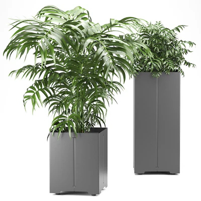 Palm tree in a pot 03 (CAPE Collection) — Вид 1