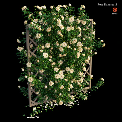 Rose plant set 13 — Вид 3
