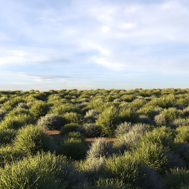 Round grass — Скачать