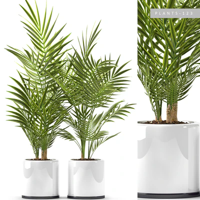 PLANTS 123 — Ver 1