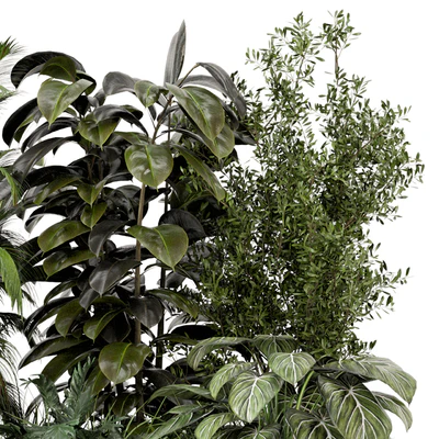 Outdoor Garden Set Bush and Tree - Garden Set 999 — Ver 2