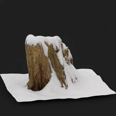 Stump under the snow — Ver 1