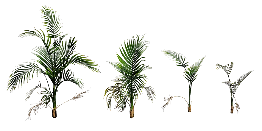 cat palm 001 — Скачать