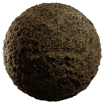 dried grass on damp soil 006 — Descargar