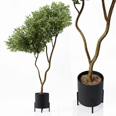 Indoor Plant 02 — Вид 2