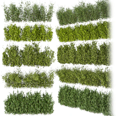 Collection plant vol 309 - bush - outdoor - leaf — Ver 1