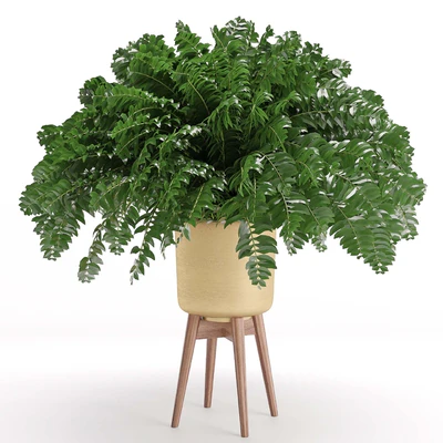 Houseplant 30 — Ver 2