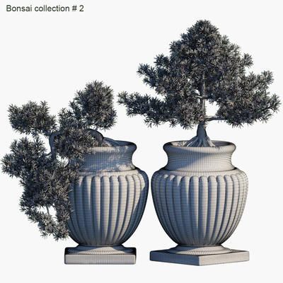 Bonsai collection #2 — Вид 2