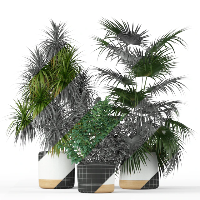 Plants collection 203 — Скачать