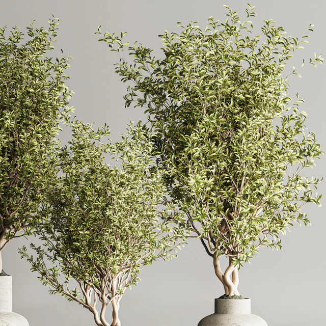 Indoor Plant Set 107 — Descargar