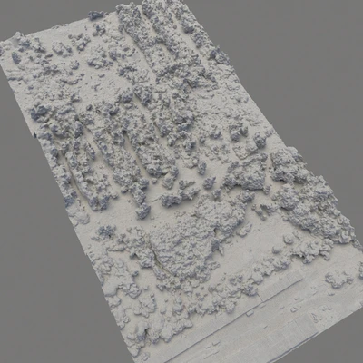 Forest 81 — Ver 2