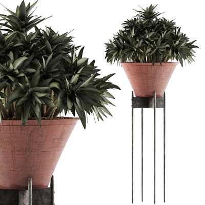 Plants Collection 49 — Ver 1