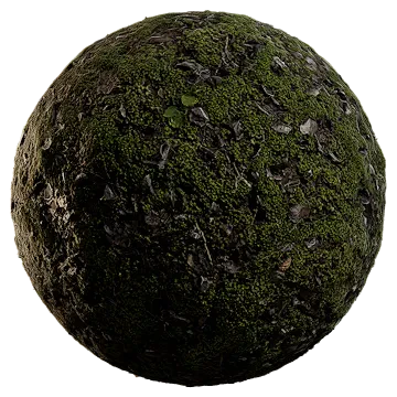 mossy ground 020 — Скачать