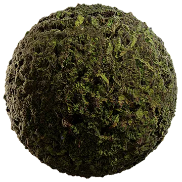 soil and fern 001 — Скачать