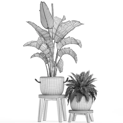 Collection of plants in modern black and white pots with a flower stand Banana palm, strelitzia, palm. Set 459. — Ver 2