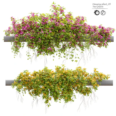 Hanging Plant 23 — Вид 1