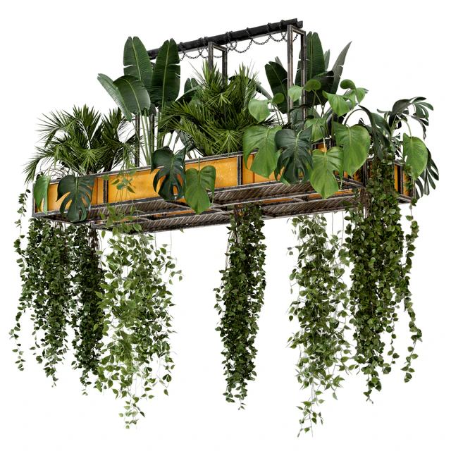 Indoor Hanging Plants in Metal Box - Set 146 — Descargar