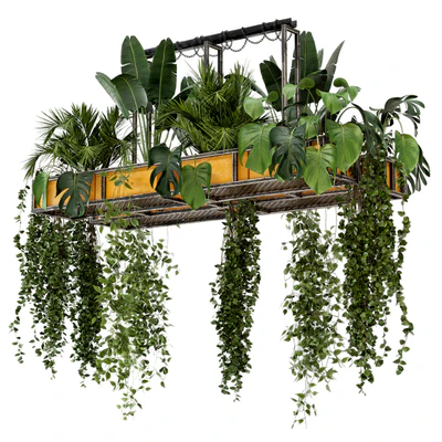 Indoor Hanging Plants in Metal Box - Set 146 — Ver 1