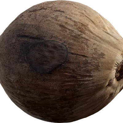 coconut 001 — Descargar