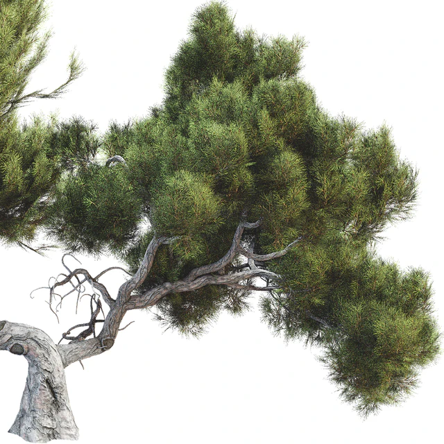 Tree 007 — Скачать