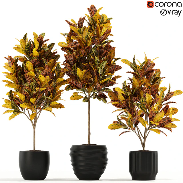 Plants collection 120 — Скачать