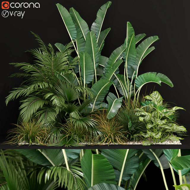 Plants collection 237 — Descargar