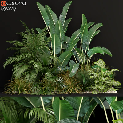 Plants collection 237 — Ver 1