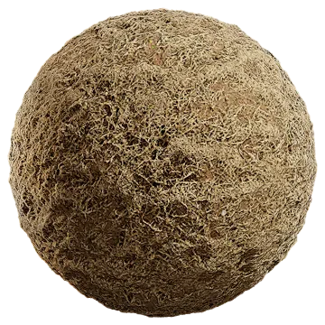 grass dried 007 — Скачать