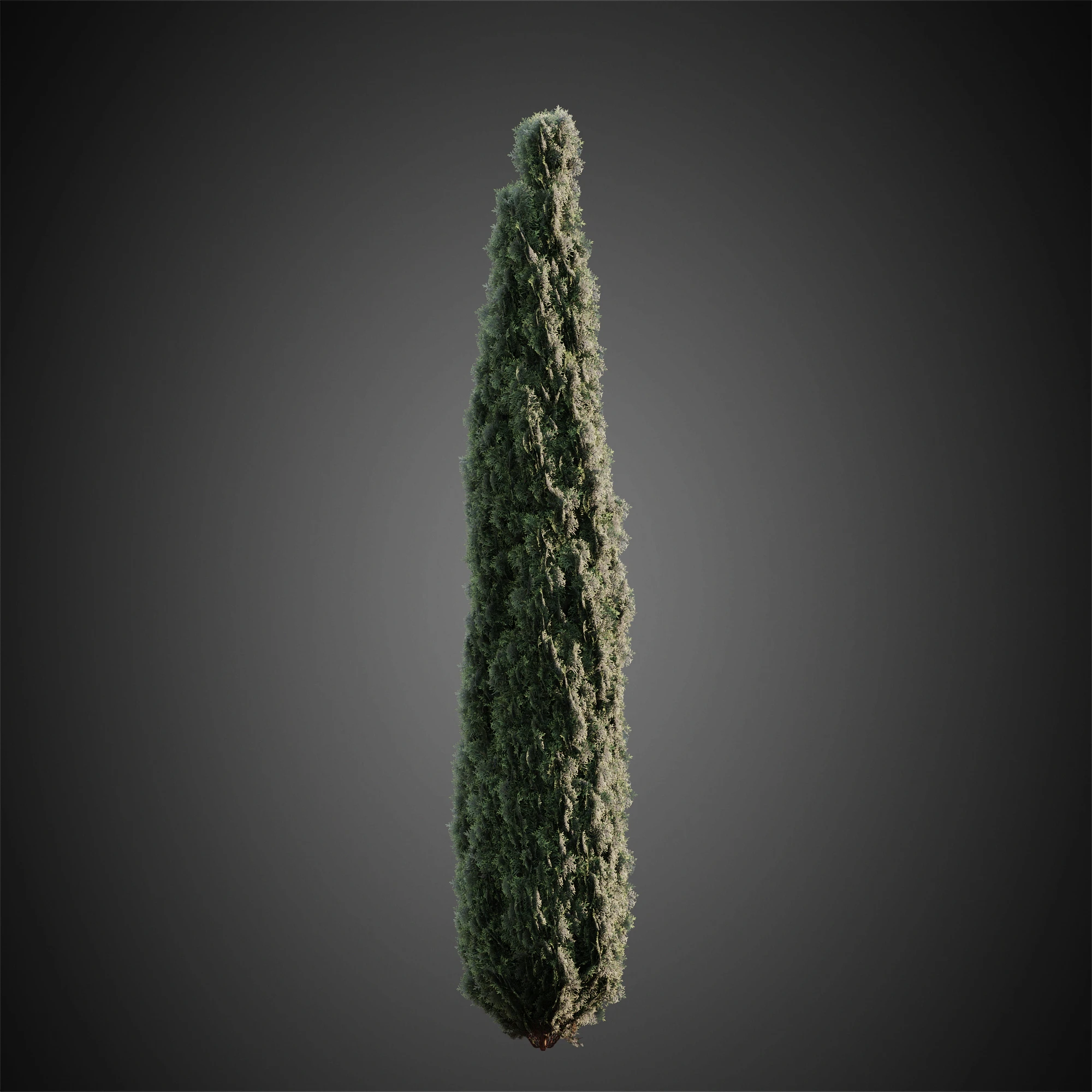 003 — Download