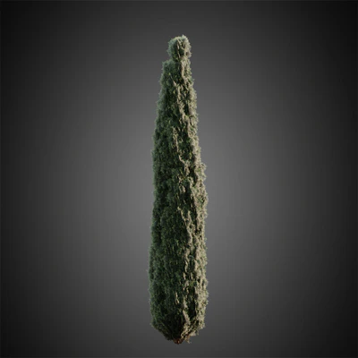 003 — Download