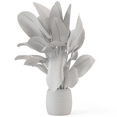 Indoor Plants in Handmade Stone Pot - Set 1797 — Ver 2