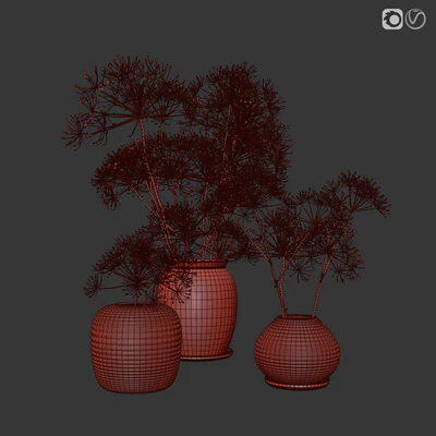 heracleum plant set — Ver 2