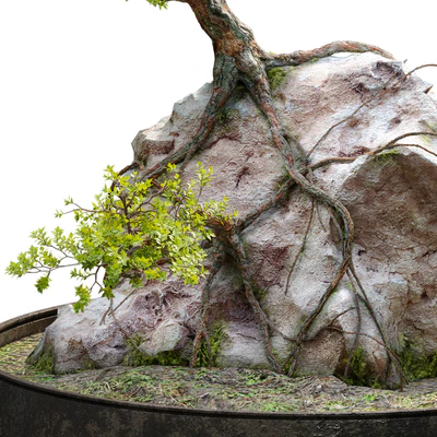 Bonsai plant 04 — Вид 2