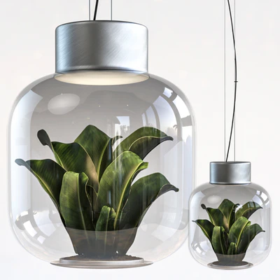 Plant light — descargar