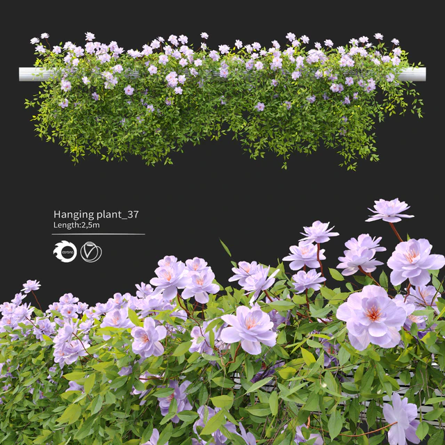 Hanging Plant 37 — Descargar