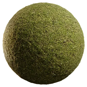 grass cut 005 — Descargar