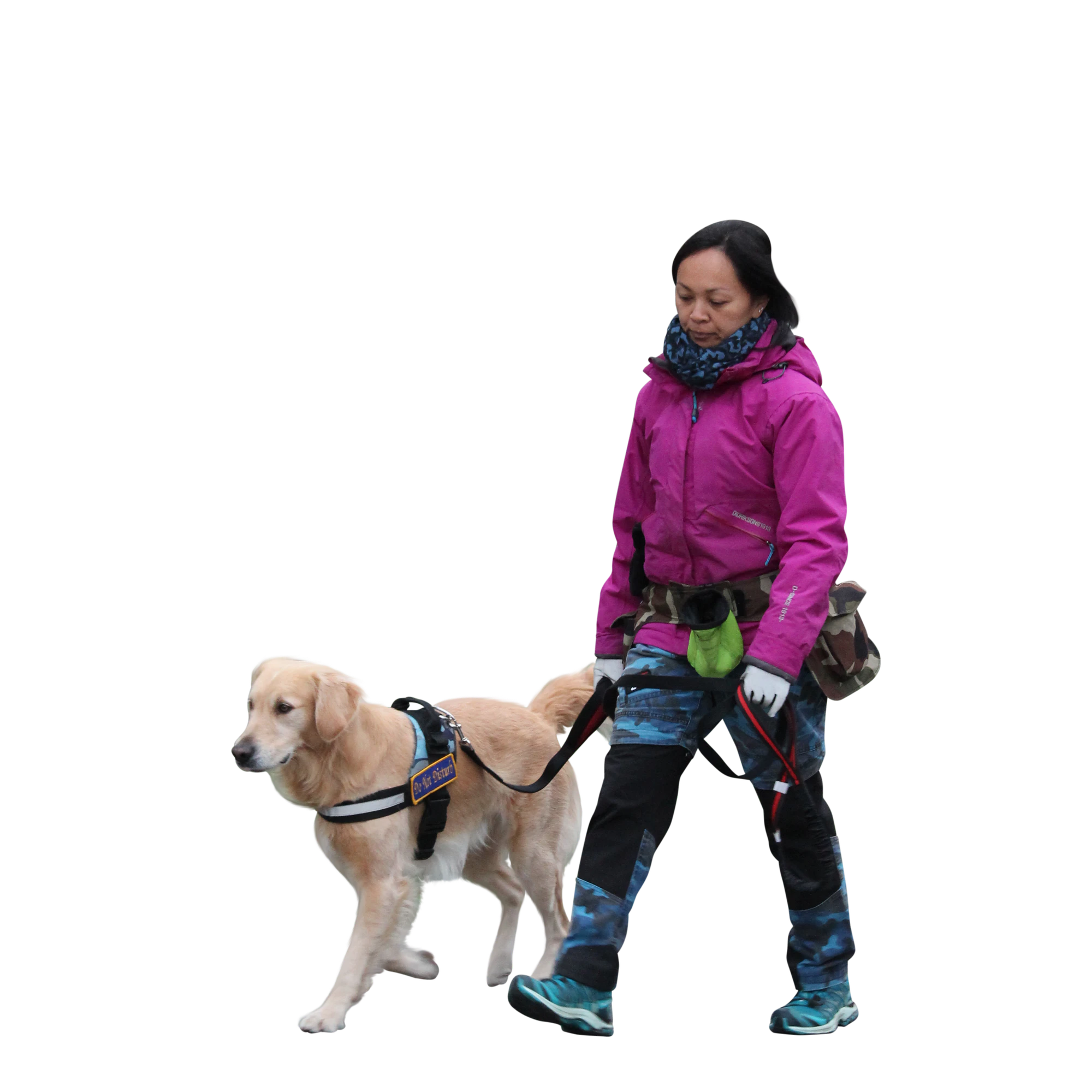 081 — Скачать