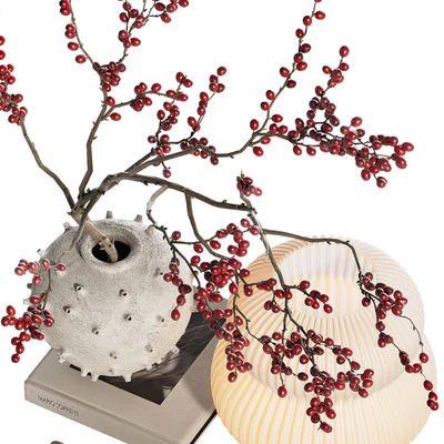 Decorative set with branches with berries ch6 — View 3