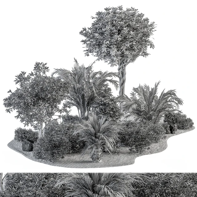 Garden Plants - Outdoor Plants 442 — Descargar