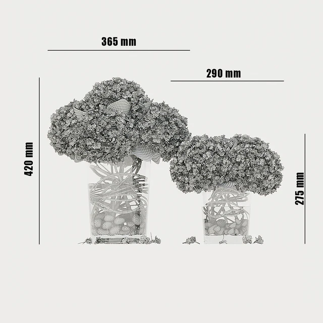 Hydrangea white — Download
