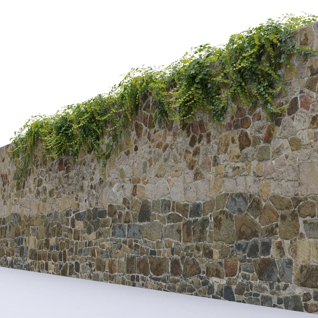 Ivy / Hedera helix #3 — Descargar