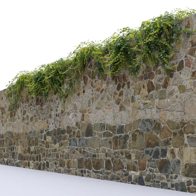 Ivy / Hedera helix #3 — Ver 3
